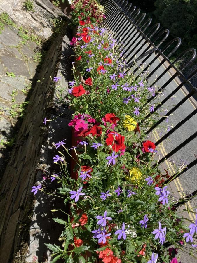 Holly Cottages Bowness-on-Windermere Esterno foto