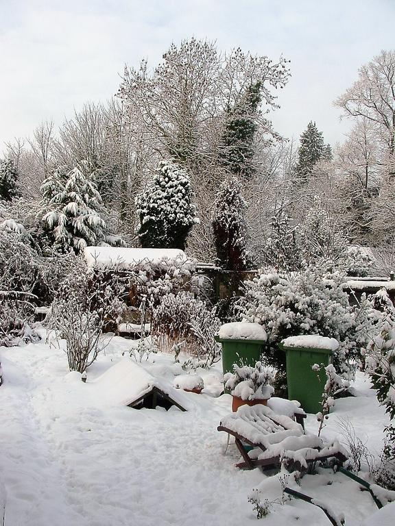 Holly Cottages Bowness-on-Windermere Esterno foto