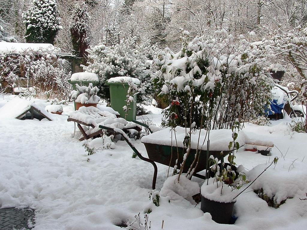 Holly Cottages Bowness-on-Windermere Esterno foto